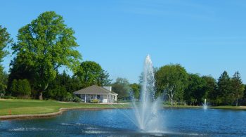 pond and pond house